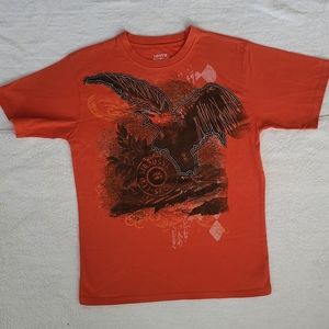 Levi's Boys Printed Graphic T-shirt 12/14